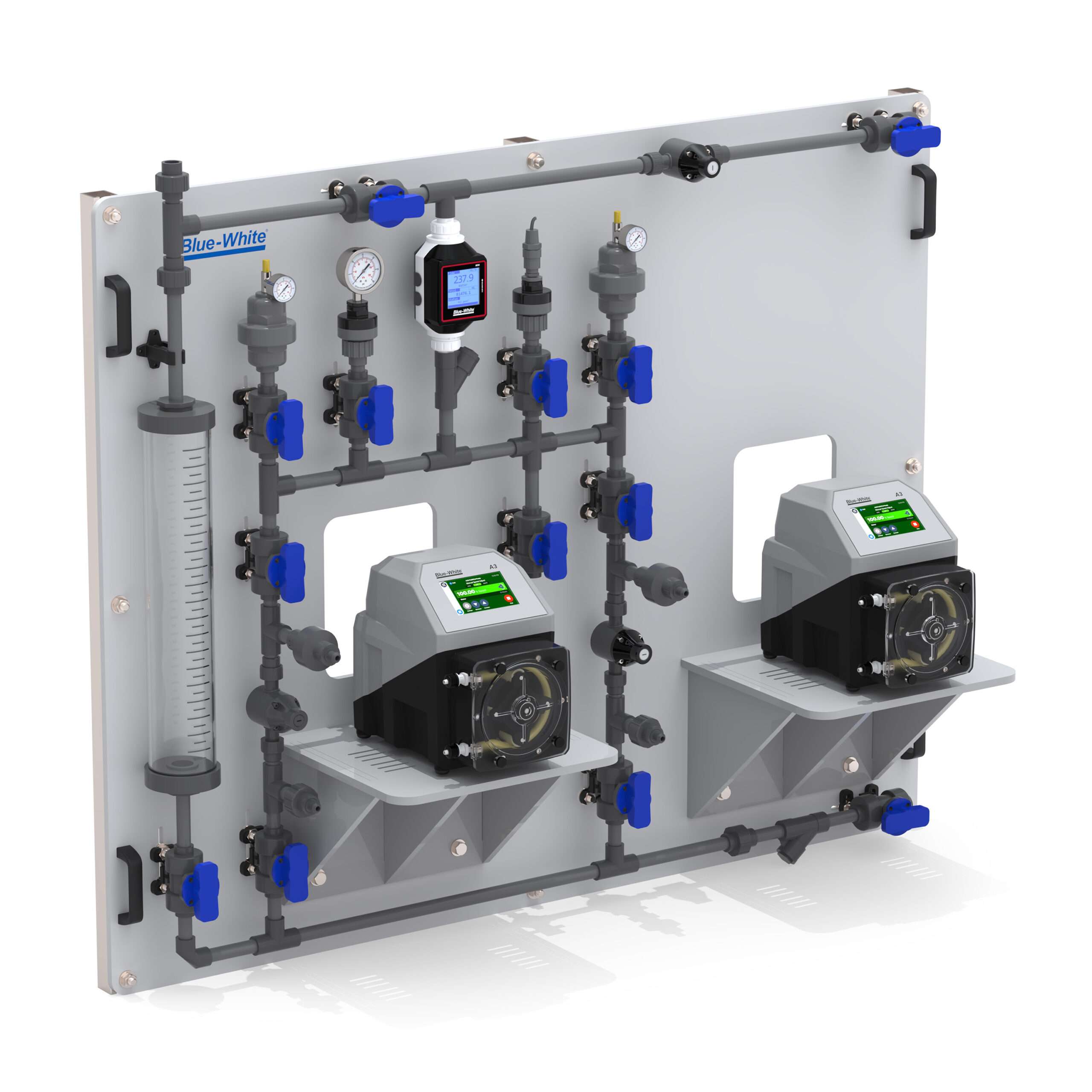 CFWS-2 CHEM-FEED® Wall Mount Duplex Skid System