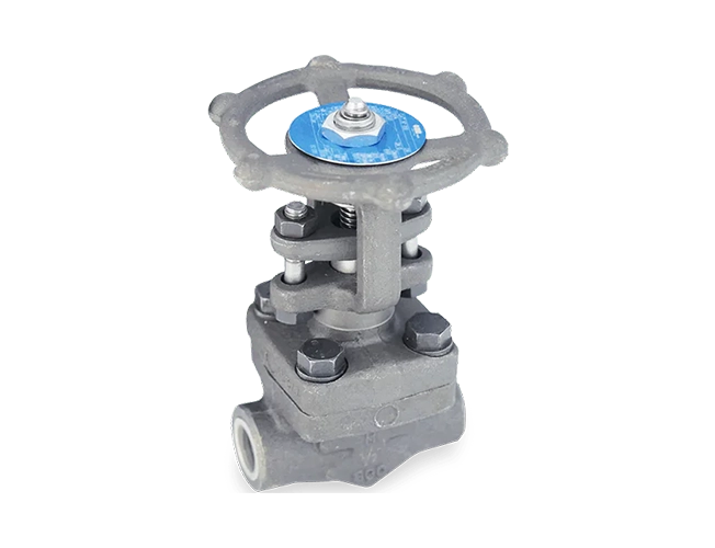 Fuji Electric Isulation valves