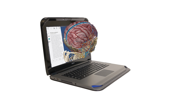 zSpace Imagine